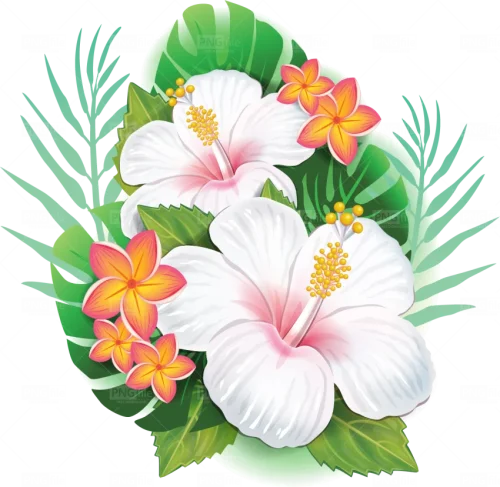 tropical-flower-png-free-download-81567801238pd90mi55uo